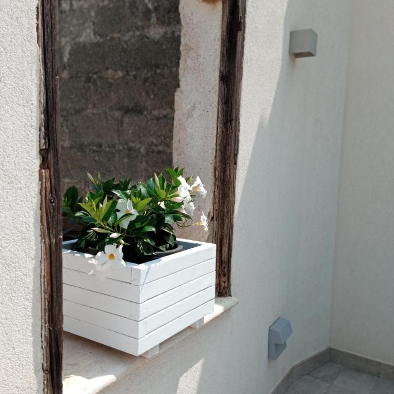 Catria - Casa Vacanze - 17