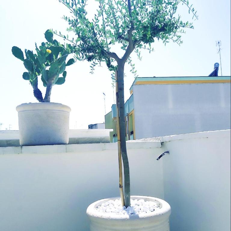Dimora Asmara 11 15 - Appartamento con Terrazza - 38