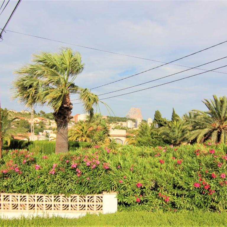 acan0114 - Villa with Private Pool - 19