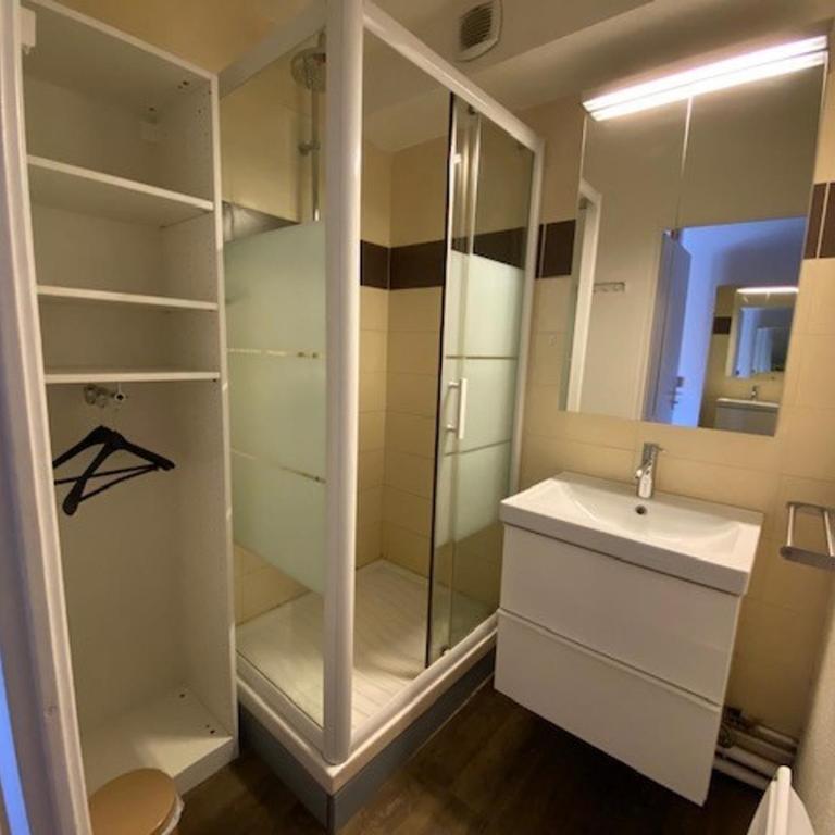 Appartement rénové 5 pers, centre-ville, parking, animaux - Appartement 1 Chambre - 6