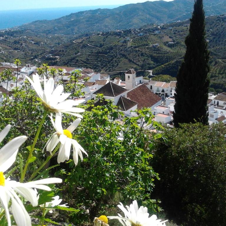 Casa Ana, Fantásticas vistas a Frigiliana, el mar y la montaña - Casa de 2 dormitorios - 52