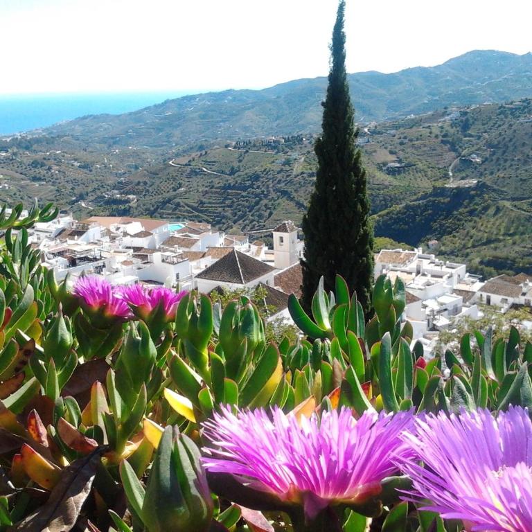 Casa Ana, Fantásticas vistas a Frigiliana, el mar y la montaña - Casa de 2 dormitorios - 50