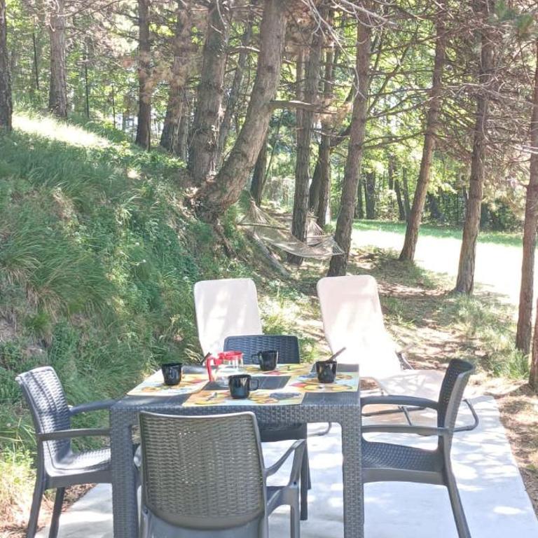 Villa Gardablick - Appartamento Standard - 19