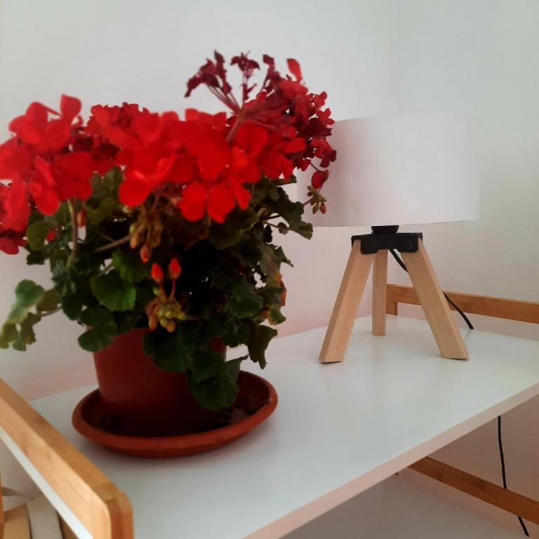 Acacia apartmani Sutomore - Apartman sa Pogledom na More - 46