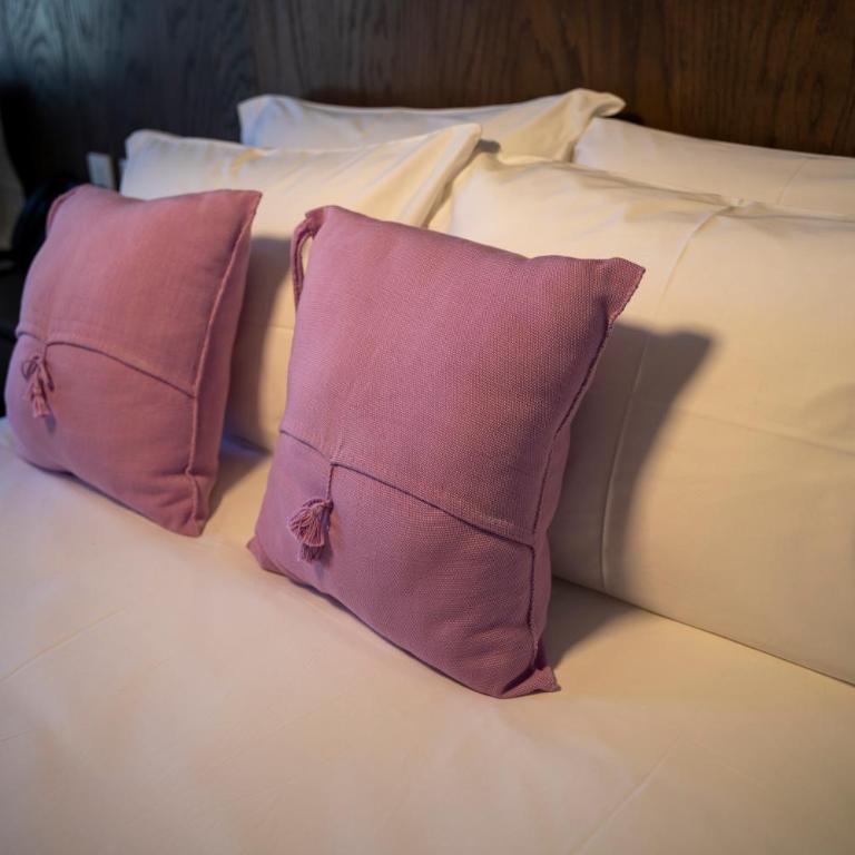 Hotel Dex Tlaquepaque - Deluxe Twin Room - 4