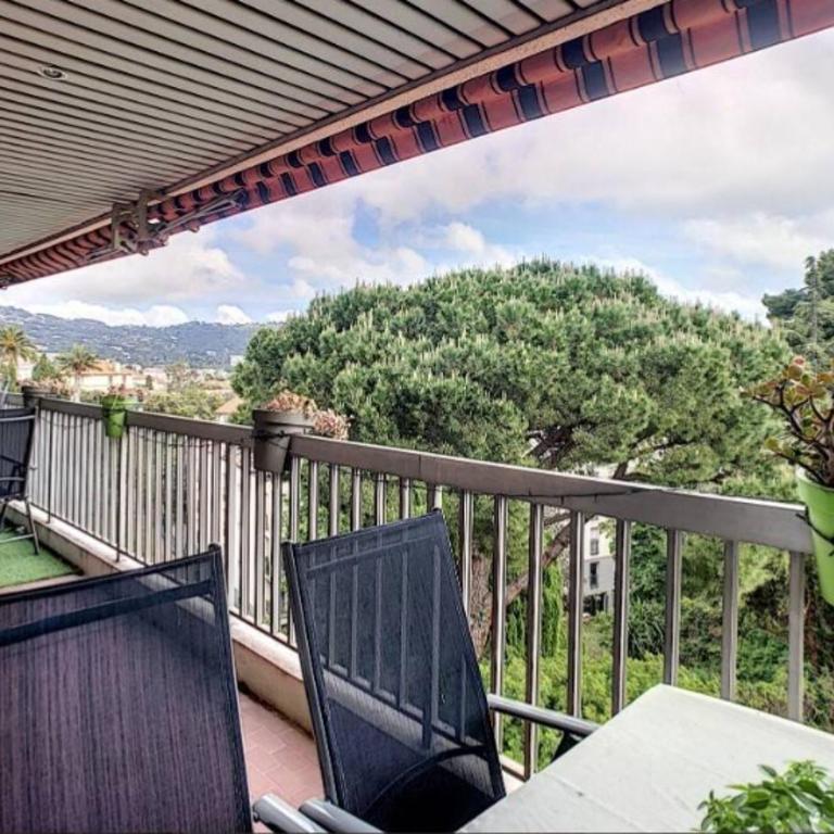 Cannes Vacances chez Steph - Appartement - Vue sur Jardin - 2