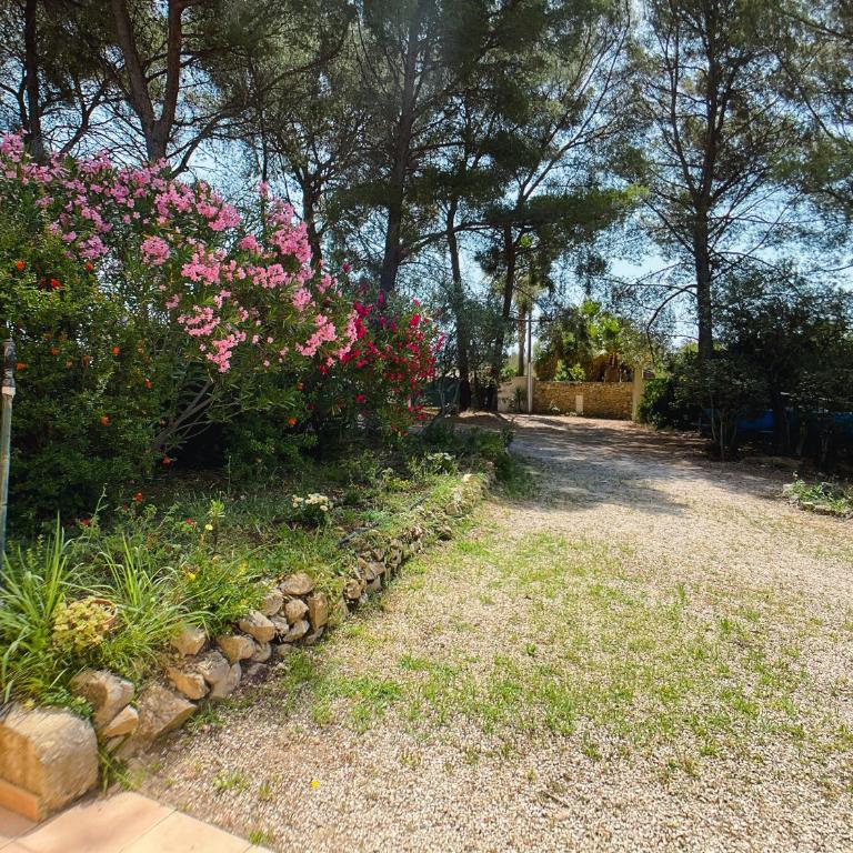 Maisonnette dans la colline,port d'Alon & calanque - Maison 1 Chambre - 6