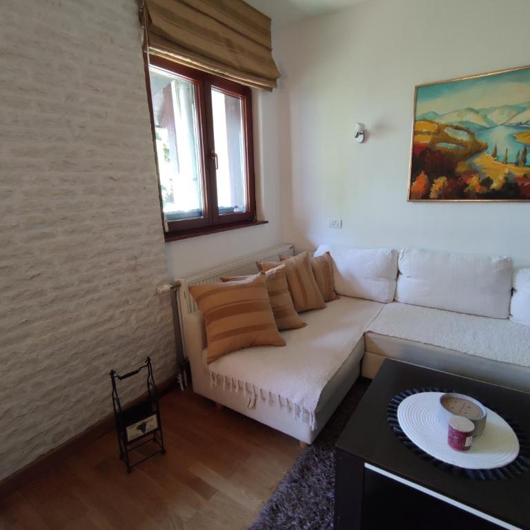 Apartman Iva Zlatibor - Apartman sa 1 Spavaćom Sobom - 6