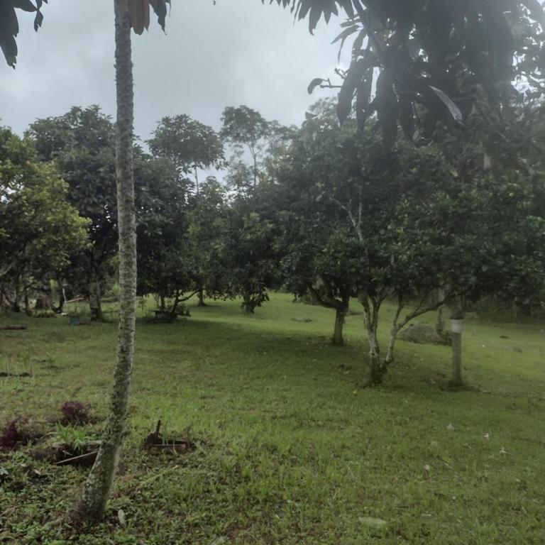 Finca exclusividad familiar o grupo de amigos capacidad hasta 12 personas calles en placa huella, caminata ecológica - Casa de 3 dormitorios - 45