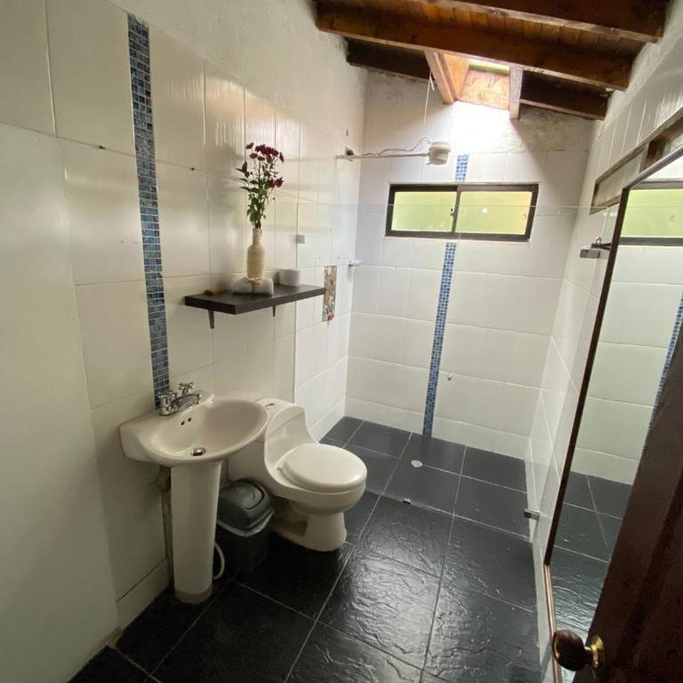 ORU CAMPESTRE - Suite Junior - 4