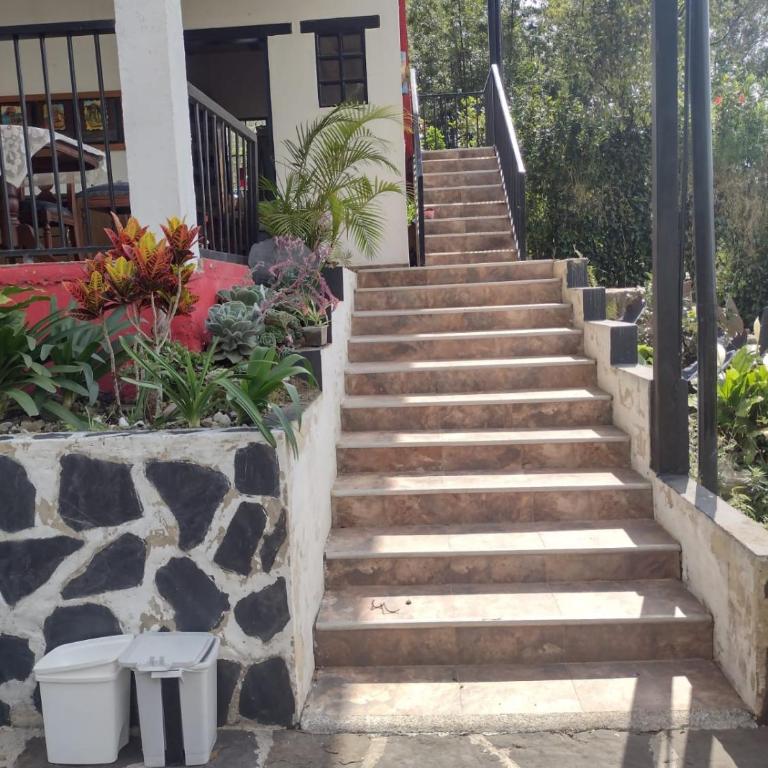 Finca exclusividad familiar o grupo de amigos capacidad hasta 12 personas calles en placa huella, caminata ecológica - Casa de 3 dormitorios - 28