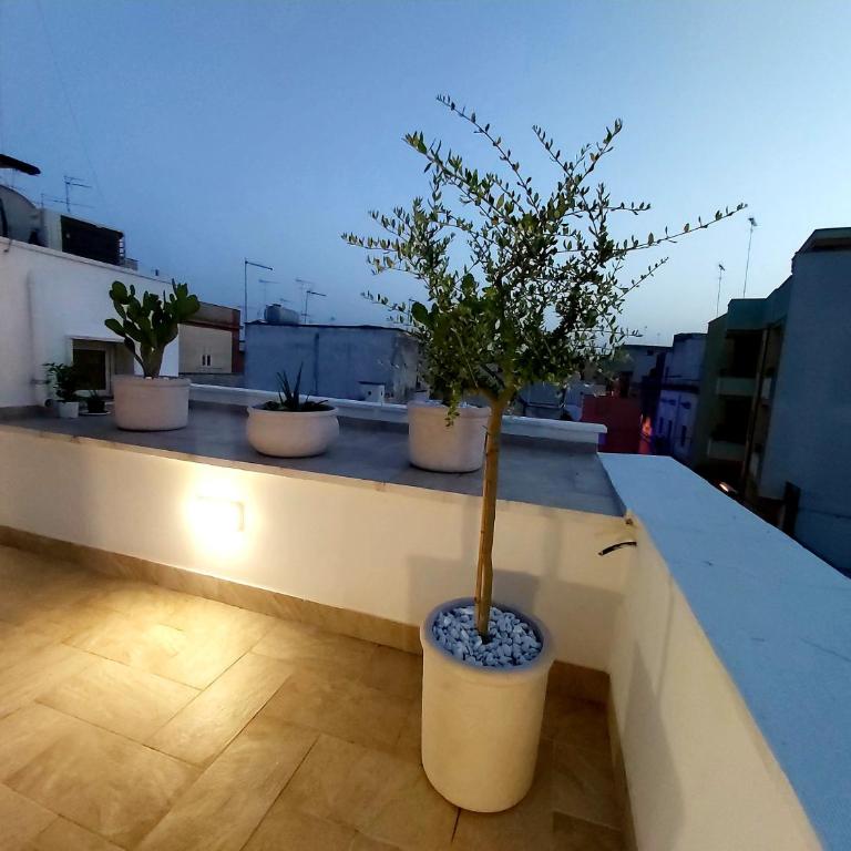 Dimora Asmara 11 15 - Appartamento con Terrazza - 44