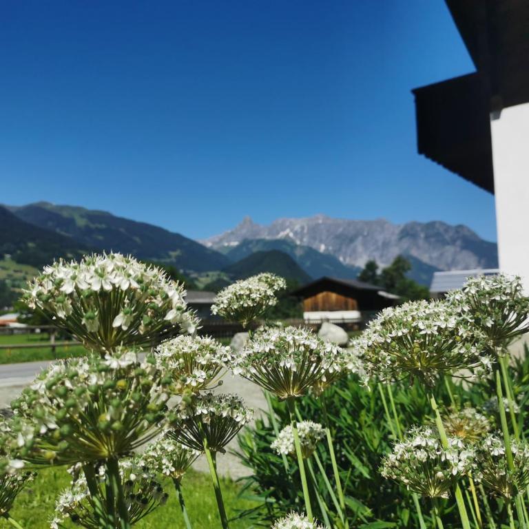 Haus Buachwald - Casa de 4 dormitorios - 40