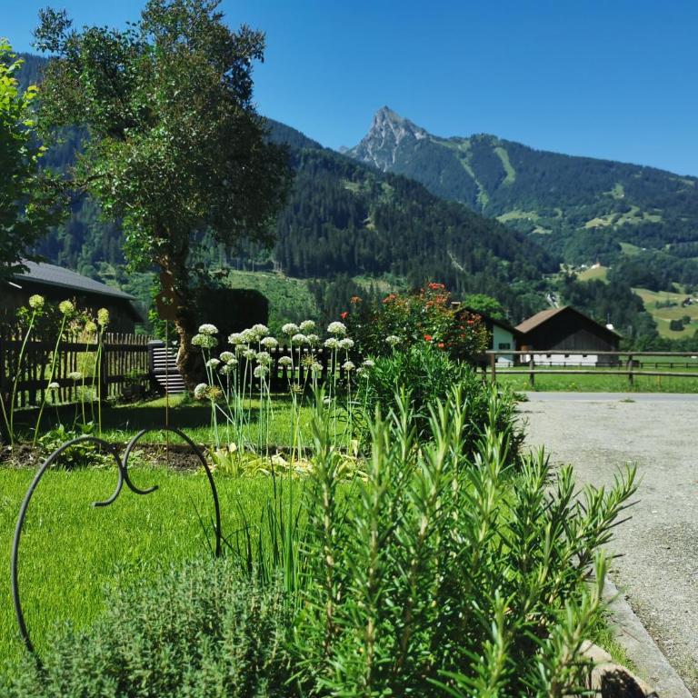 Haus Buachwald - Casa de 4 dormitorios - 43