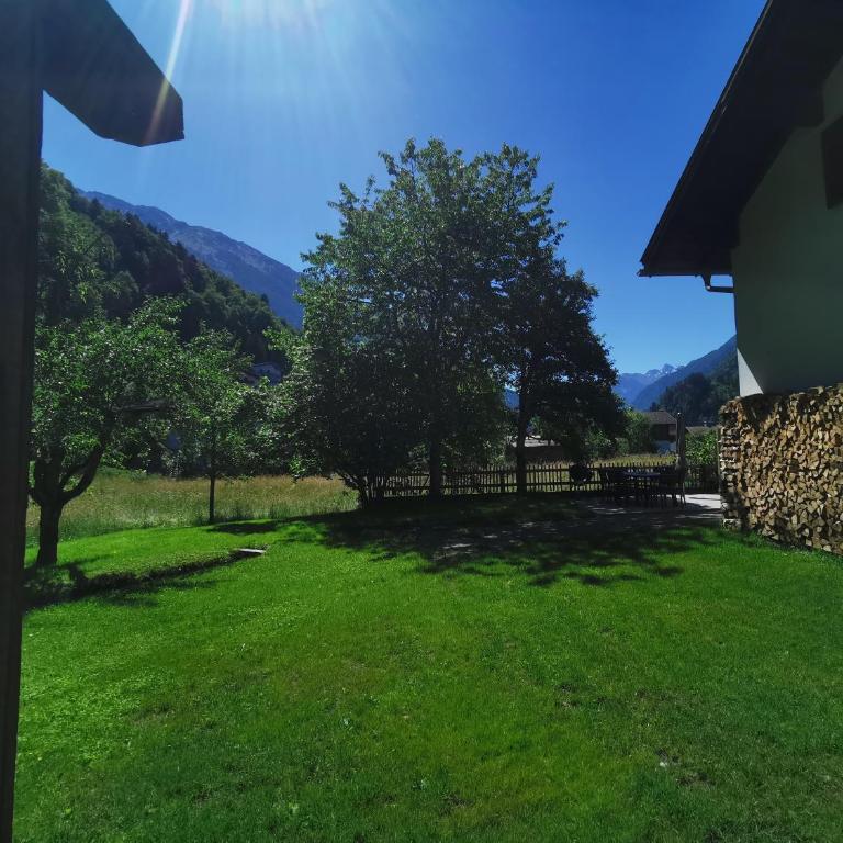 Haus Buachwald - Casa de 4 dormitorios - 44