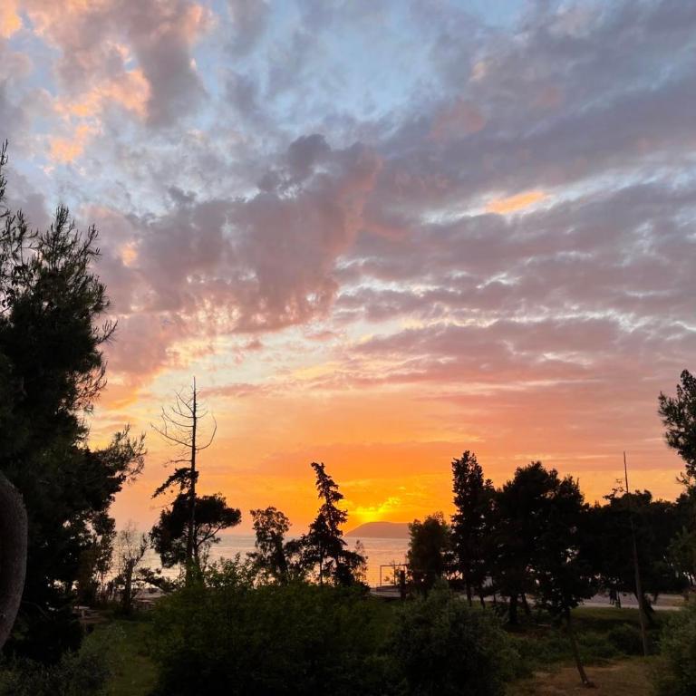 Zia Apartments - Apartman sa 1 Spavaćom Sobom - 26