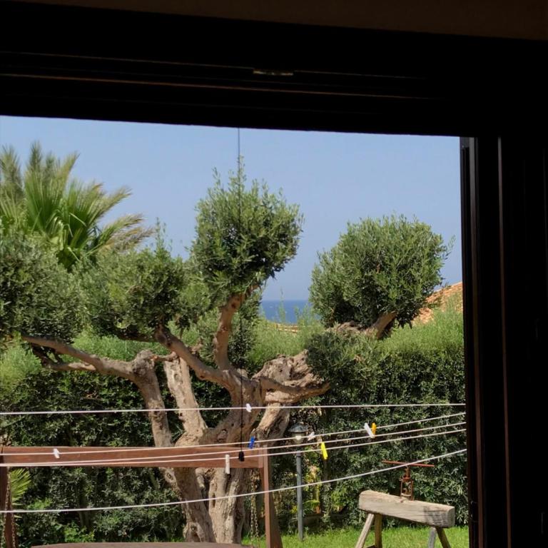 Baia Cofano Home - Appartamento con Vista Giardino - 9