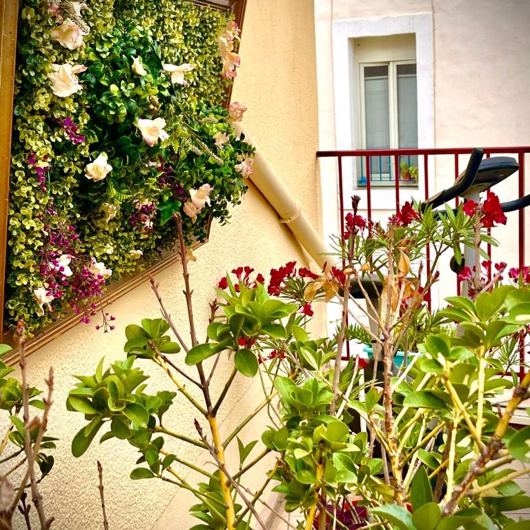 Hôtel Paul Riquet - Chambre Double avec Terrasse - 6