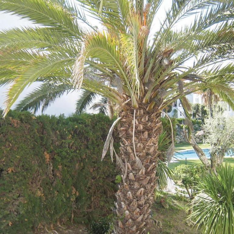 3 Bedroom Amazing Home In Estepona - Casa Vacacional de 3 dormitorios - 10