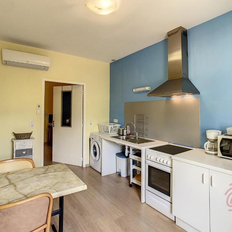 Charmant F2 climatisé avec terrasse, proche Thermes, parking privé, animaux acceptés - FR-1-451-163 - Appartamento con 1 Camera da Letto - 1