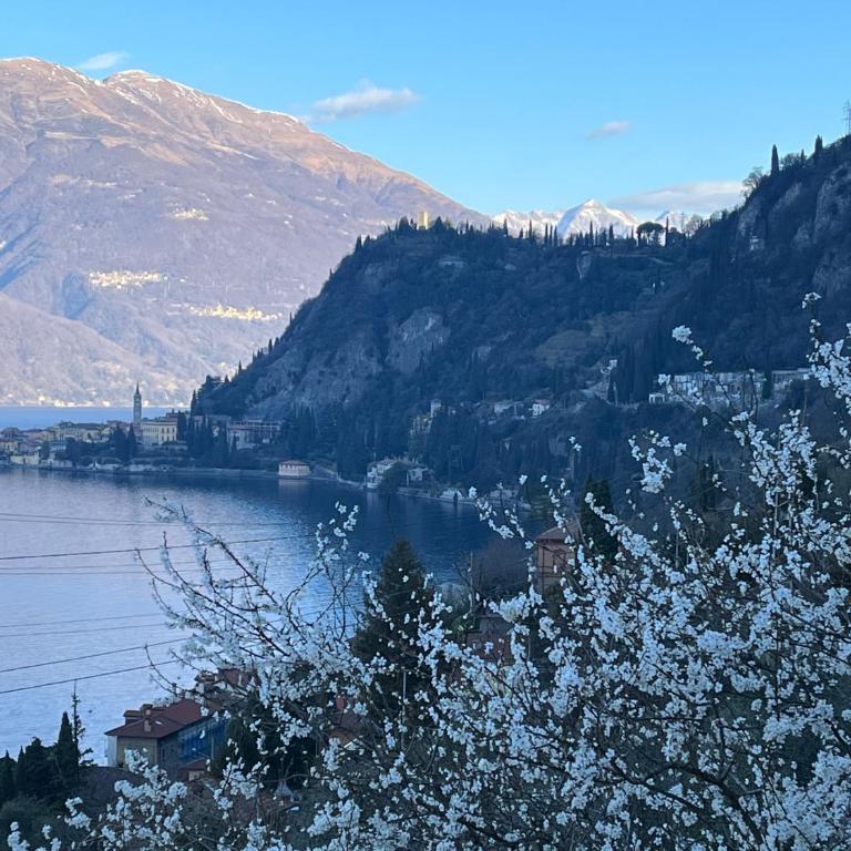 La punta di Varenna - Casa con 1 Camera da Letto - 6