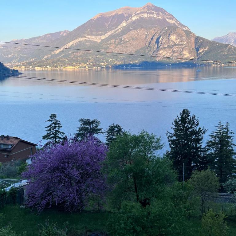 La punta di Varenna - Casa con 1 Camera da Letto - 19
