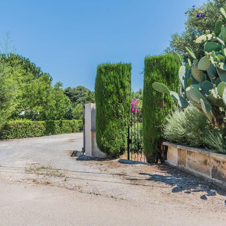 Villa La Palmera By SunVillas Mallorca - Casa - 15