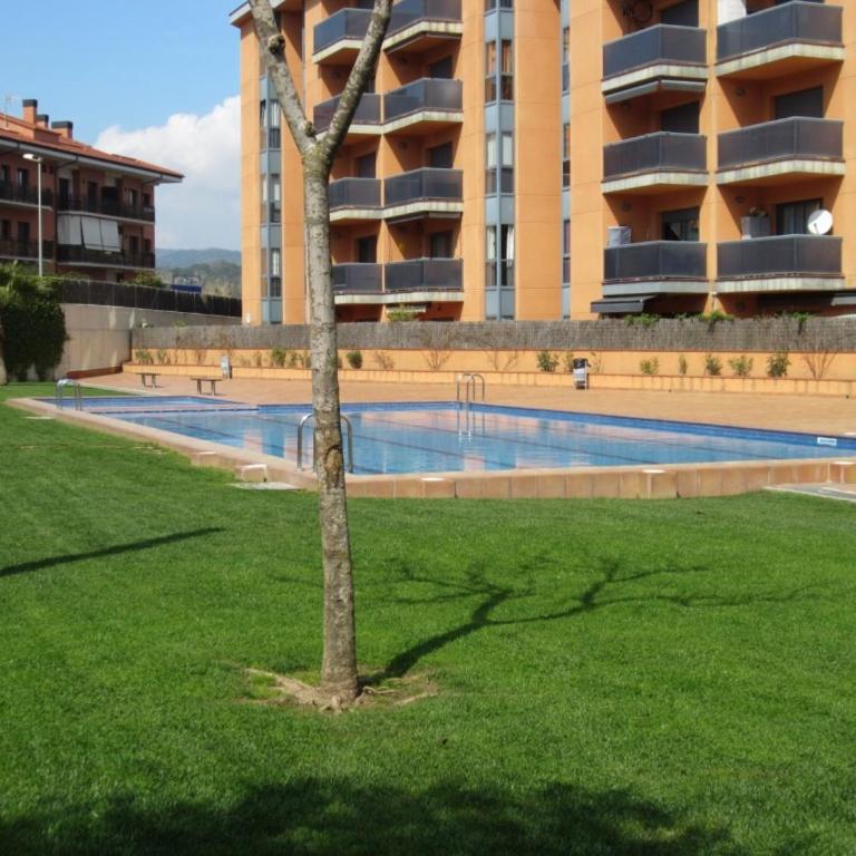 Boadella-Fenals - Apartamento de 2 dormitorios - 1