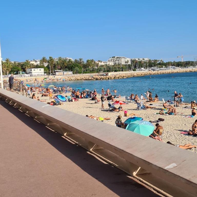 1 mn CROISETTE près Martinez - Apartamento de 1 dormitorio - 10