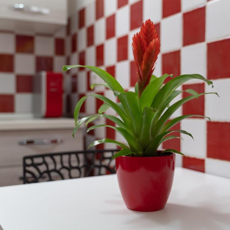 Pepigall Apartments - One-Bedroom Apartment - 10