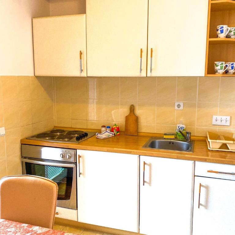 Apartmani vila Todor - Apartman sa 2 Spavaće Sobe - 1