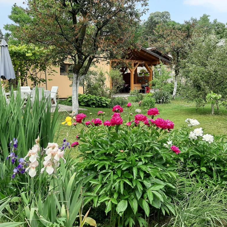 Magnolija - Apartman sa 3 Spavaće Sobe - 46
