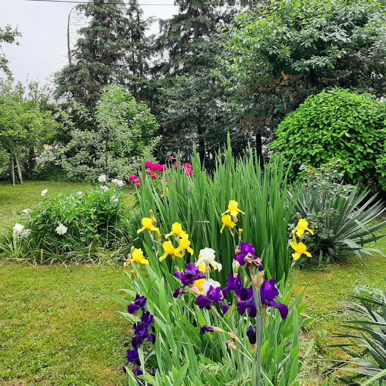 Magnolija - Apartman sa 3 Spavaće Sobe - 47