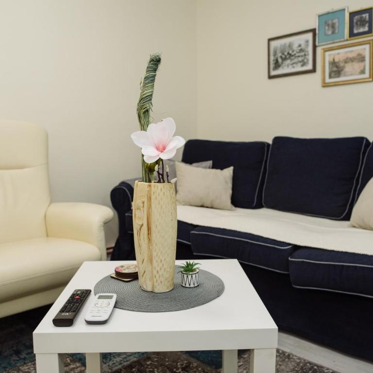 ĐILL Apartment - Apartman sa 1 Spavaćom Sobom - 48