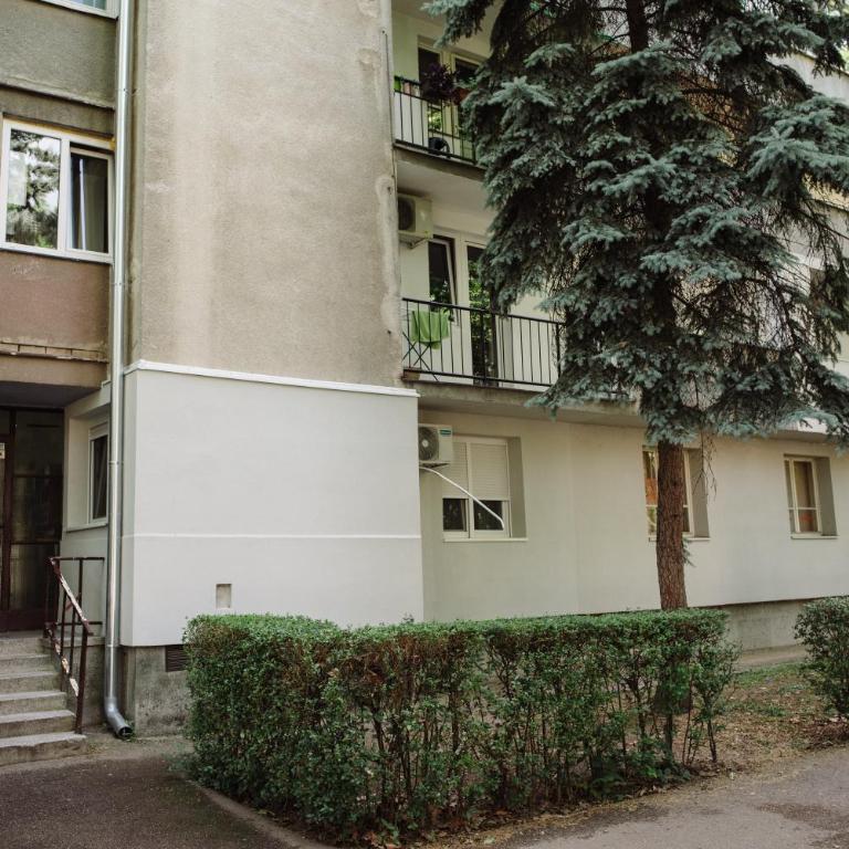 ĐILL Apartment - One-Bedroom Apartment - 51