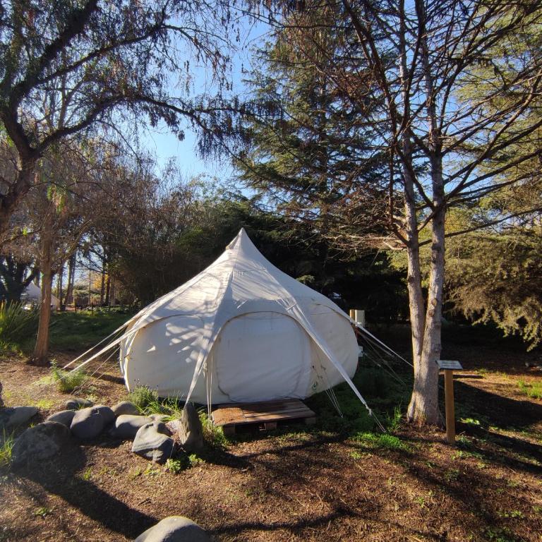 Glamping Remanso del Espíritu - Tienda - 1
