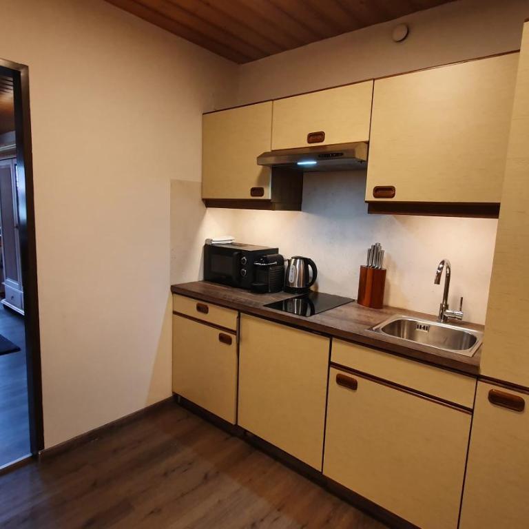 Absolute Active Mountain Resort - Familienstudio mit einem Balkon - 3