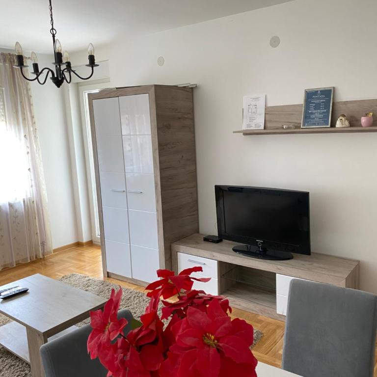 Apartmani CENTAR Vrnjacka Banja & Free Parking - One-Bedroom Apartment - 36