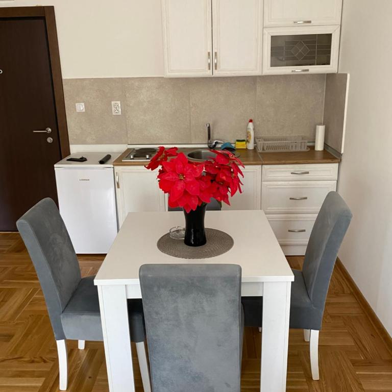 Apartmani CENTAR Vrnjacka Banja & Free Parking - One-Bedroom Apartment - 35