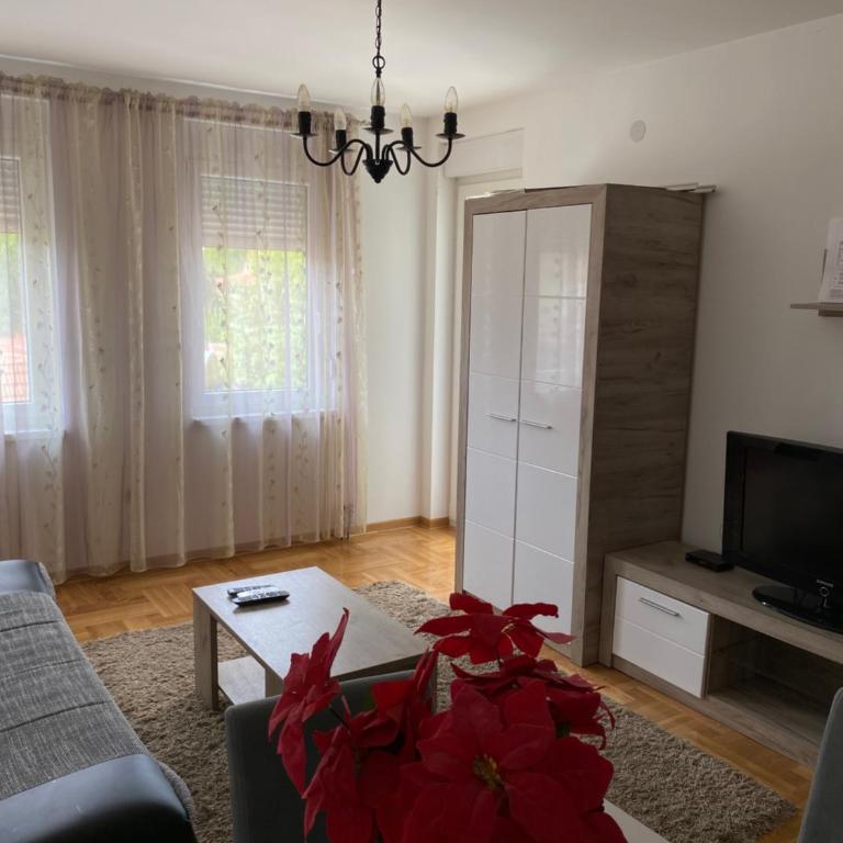 Apartmani CENTAR Vrnjacka Banja & Free Parking - One-Bedroom Apartment - 34