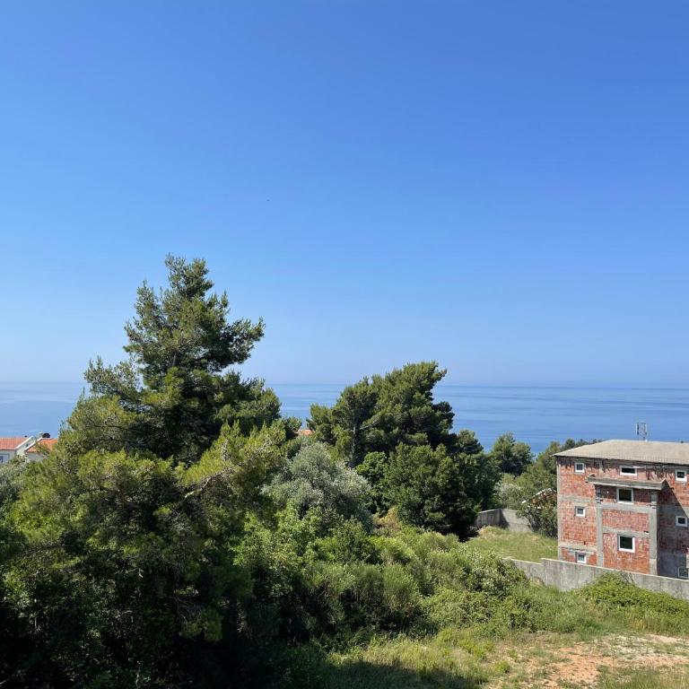 Villa Pine - Villa - 52