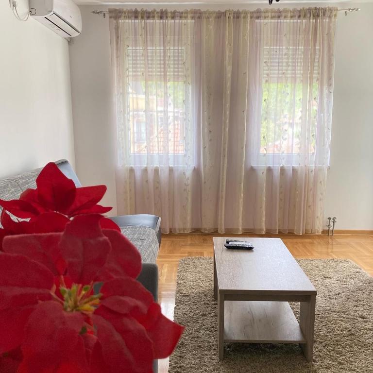 Apartmani CENTAR Vrnjacka Banja & Free Parking - One-Bedroom Apartment - 25