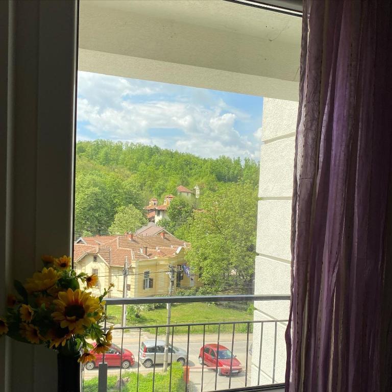 Apartmani CENTAR Vrnjacka Banja & Free Parking - One-Bedroom Apartment - 31