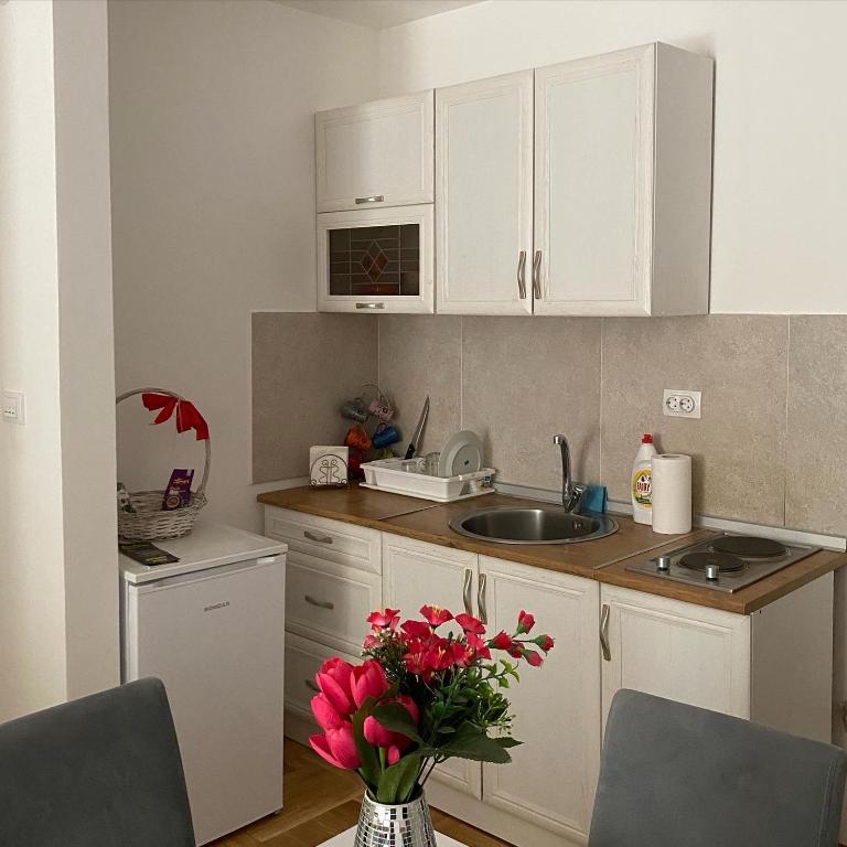 Apartmani CENTAR Vrnjacka Banja & Free Parking - Studio with Balcony - 20
