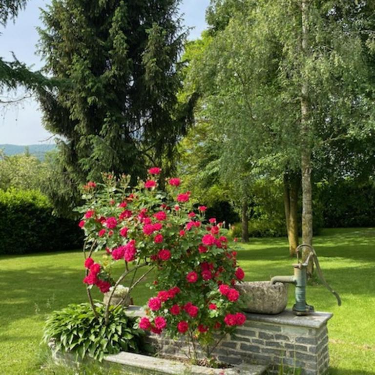 Villa Giulia - Bisalta - One-Bedroom Apartment - 51