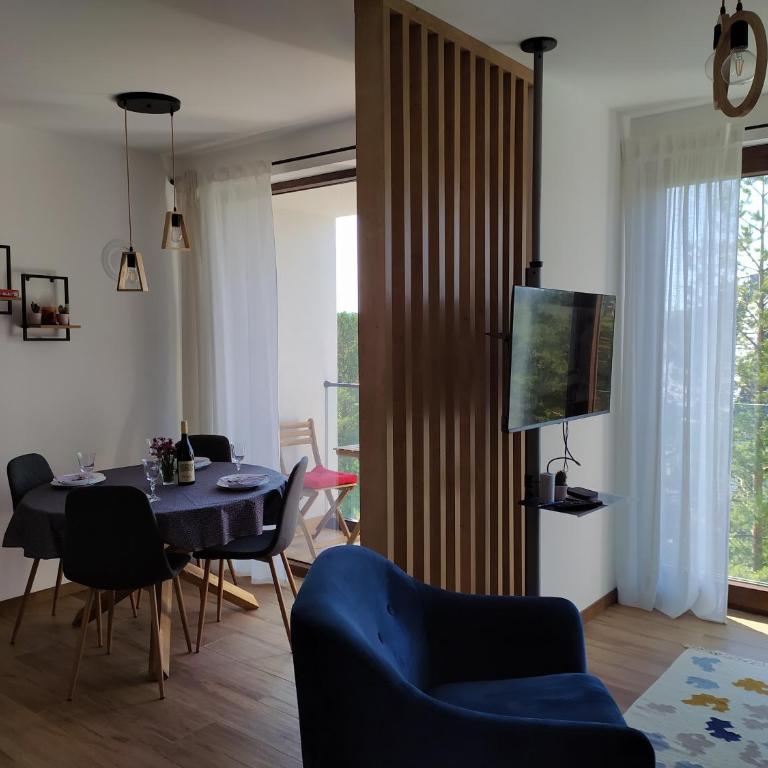 Borovi 21 - Apartman sa 1 Spavaćom Sobom - 9