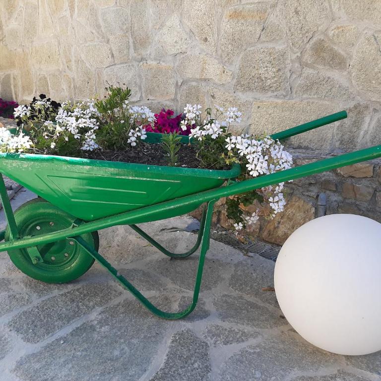 Casa Federica - Appartamento con 1 Camera da Letto - 18