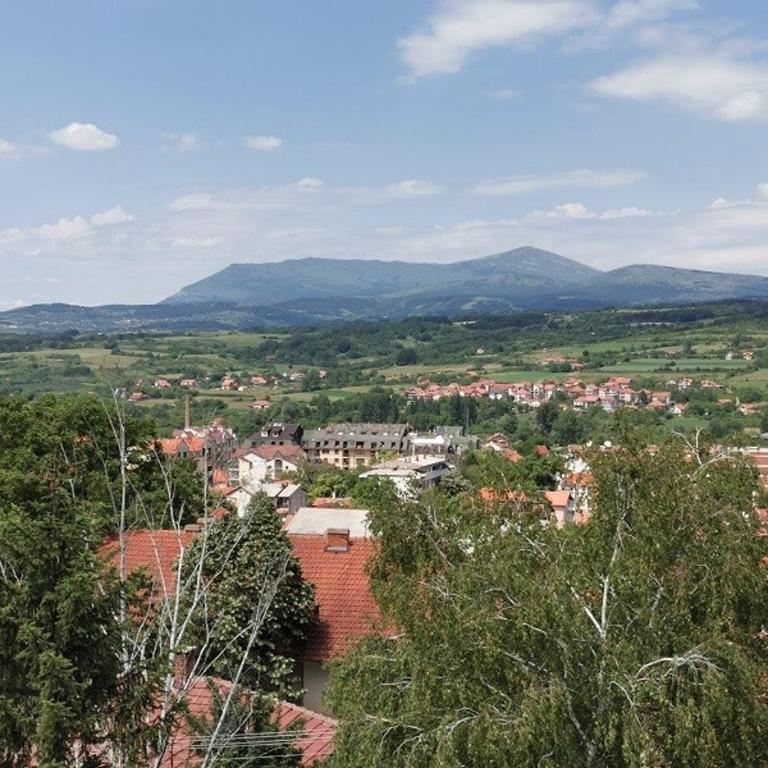 Vila Breza - Apartman sa Balkonom - 1