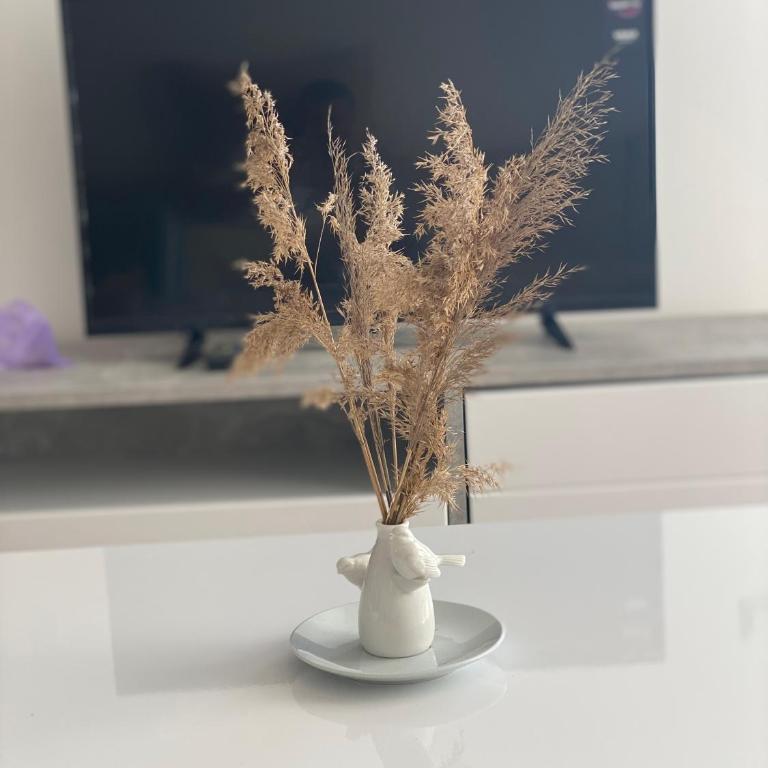 Apartament Dolcinium - Apartman sa 1 Spavaćom Sobom - 2