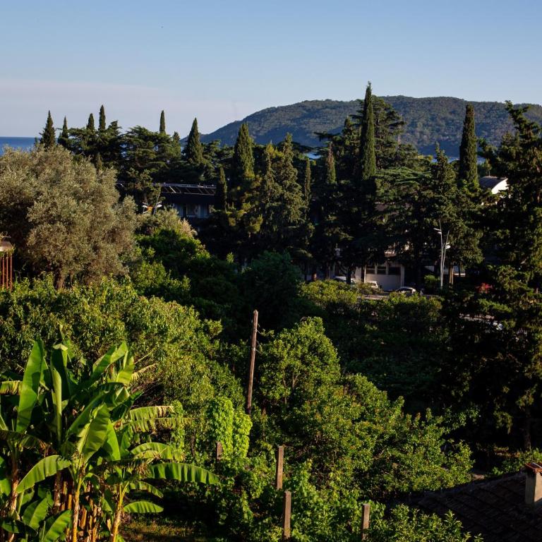 Villa Vojnic - Dvokrevetna Soba sa Bračnim Krevetom sa Balkonom i Pogledom na More - 38